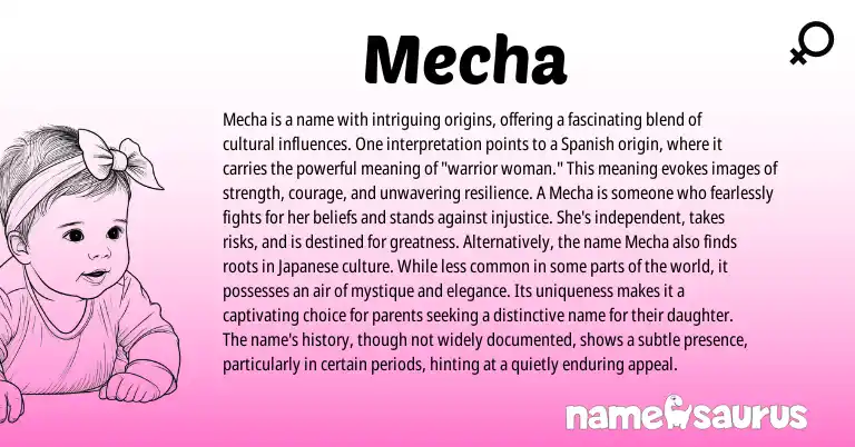 Infographic about Mecha name meaning, Mecha is a name from Spanish origin(s).