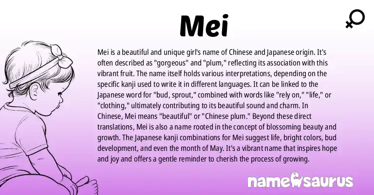 Infographic about Mei name meaning, Mei is a name from Chinese, Japanese, British origin(s).
