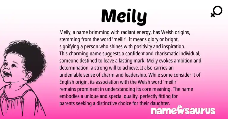 Infographic about Meily name meaning, Meily is a name from Welsh origin(s).