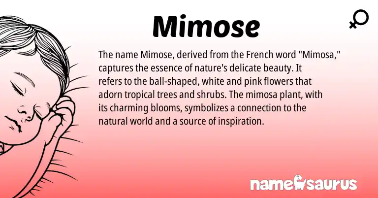 Infographic about Mimose name meaning, Mimose is a name from French origin(s).