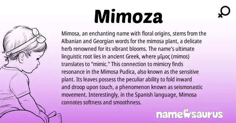 Infographic about Mimoza name meaning, Mimoza is a name from Spanish, Georgian, Albanian, Greek origin(s).