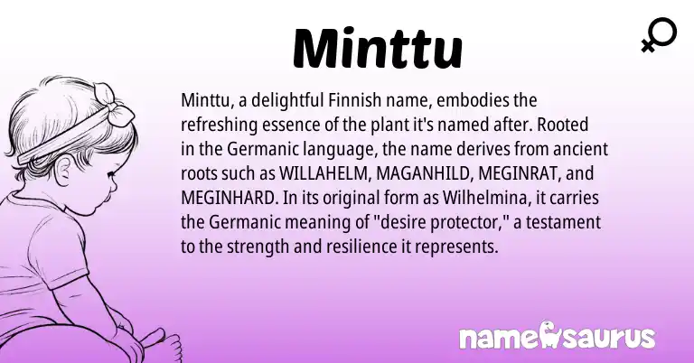 Infographic about Minttu name meaning, Minttu is a name from Finnish, Germanic origin(s).
