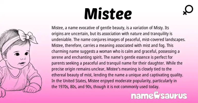 Infographic about Mistee name meaning, Mistee is a name from United States, English origin(s).
