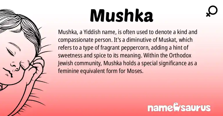 Infographic about Mushka name meaning, Mushka is a name from Yiddish origin(s).