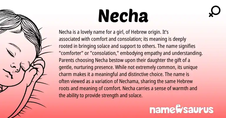 Infographic about Necha name meaning, Necha is a name from Hebrew origin(s).