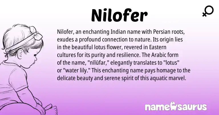 Infographic about Nilofer name meaning, Nilofer is a name from Arabic, Persian, Indian origin(s).