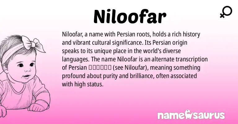 Infographic about Niloofar name meaning, Niloofar is a name from Persian origin(s).