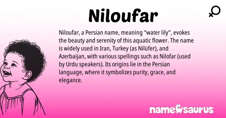 Infographic about Niloufar name meaning, Niloufar is a name from Urdu, Iran, Persian origin(s).