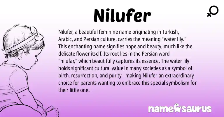 Infographic about Nilufer name meaning, Nilufer is a name from Turkish, Arabic, Persian origin(s).