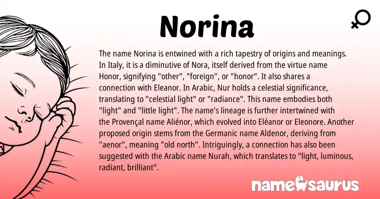 Infographic about Norina name meaning, Norina is a name from Germanic, Provençal, Arabic origin(s).