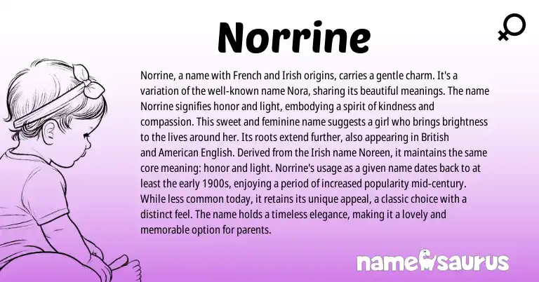 Infographic about Norrine name meaning, Norrine is a name from French, English, Irish origin(s).
