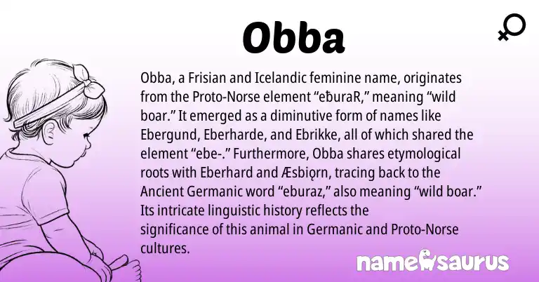 Infographic about Obba name meaning, Obba is a name from Icelandic, Ancient Germanic, Germanic, Frisian, Norse origin(s).