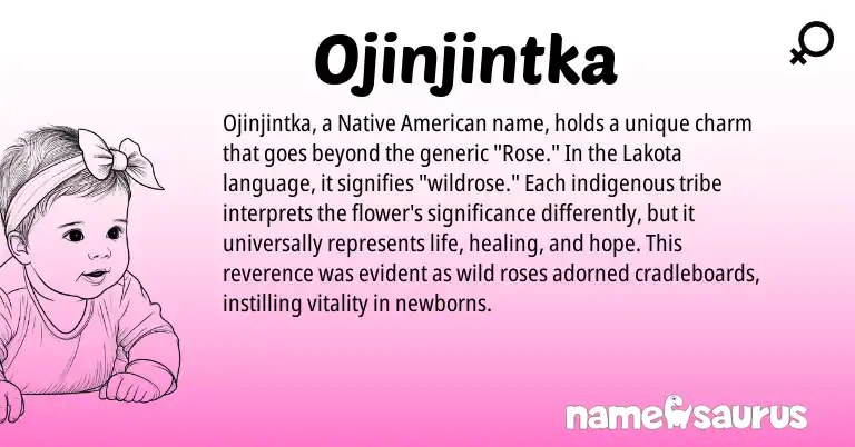 Infographic about Ojinjintka name meaning, Ojinjintka is a name from Native American, Lakota origin(s).