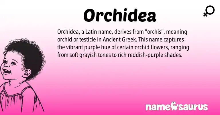Infographic about Orchidea name meaning, Orchidea is a name from Ancient Greek, Latin origin(s).