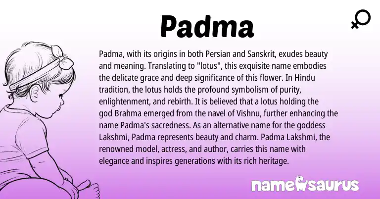 Infographic about Padma name meaning, Padma is a name from Sanskrit, Persian, Hindu origin(s).