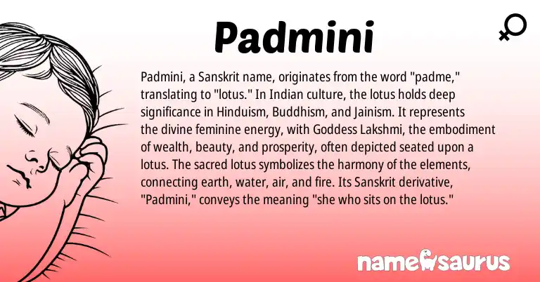 Infographic about Padmini name meaning, Padmini is a name from Hinduism, Sanskrit, Buddhism, Indian origin(s).