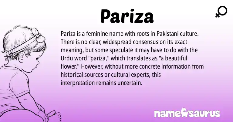 Infographic about Pariza name meaning, Pariza is a name from Pakistani origin(s).