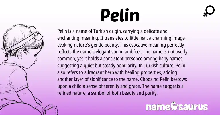 Infographic about Pelin name meaning, Pelin is a name from Kurdish, Turkish origin(s).