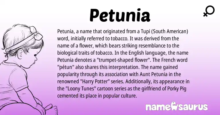 Infographic about Petunia name meaning, Petunia is a name from South American, English, French, Tupi origin(s).