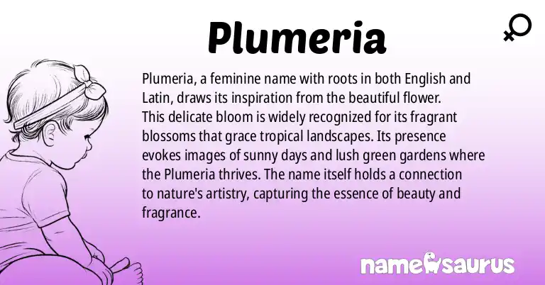 Infographic about Plumeria name meaning, Plumeria is a name from English, Latin origin(s).