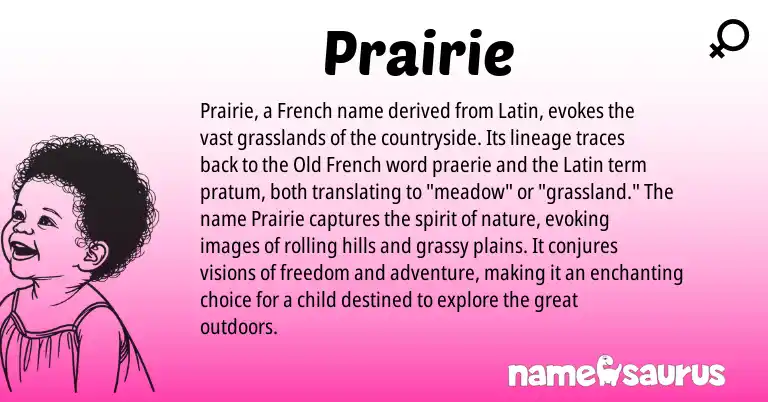 Infographic about Prairie name meaning, Prairie is a name from French, Latin, Old French origin(s).