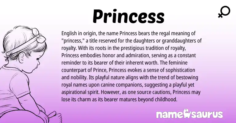 Infographic about Princess name meaning, Princess is a name from English origin(s).
