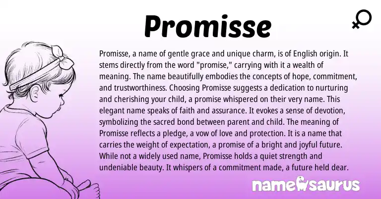 Infographic about Promisse name meaning, Promisse is a name from English origin(s).