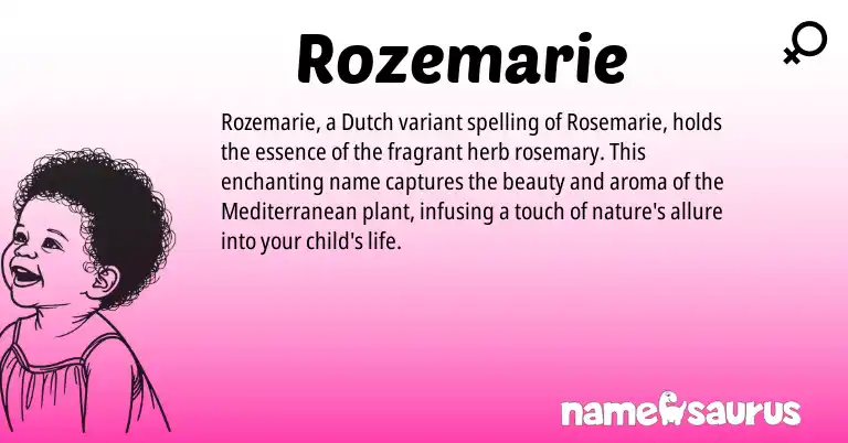 Infographic about Rozemarie name meaning, Rozemarie is a name from Dutch origin(s).