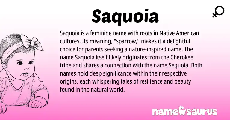 Infographic about Saquoia name meaning, Saquoia is a name from Native American origin(s).