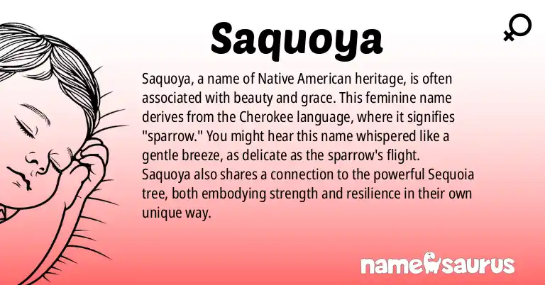 Infographic about Saquoya name meaning, Saquoya is a name from Native American origin(s).