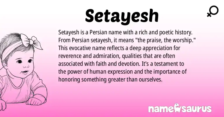 Infographic about Setayesh name meaning, Setayesh is a name from Persian origin(s).