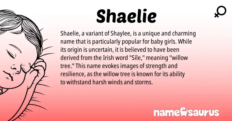 Infographic about Shaelie name meaning, Shaelie is a name from Irish origin(s).