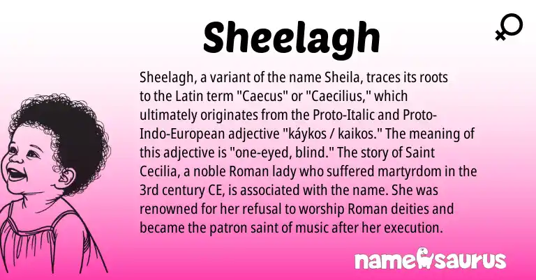 Infographic about Sheelagh name meaning, Sheelagh is a name from Roman, Latin, European origin(s).