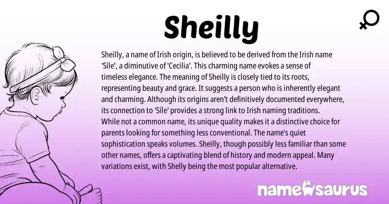 Infographic about Sheilly name meaning, Sheilly is a name from Irish origin(s).