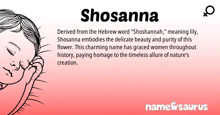 Infographic about Shosanna name meaning, Shosanna is a name from Hebrew origin(s).