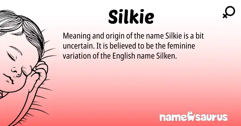 Infographic about Silkie name meaning, Silkie is a name from English origin(s).