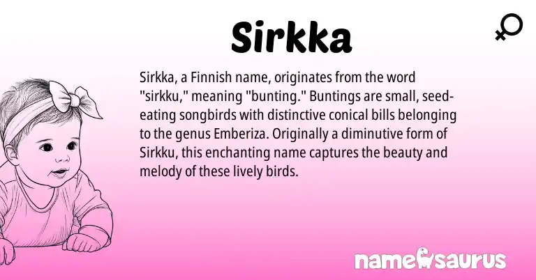 Infographic about Sirkka name meaning, Sirkka is a name from Finnish origin(s).