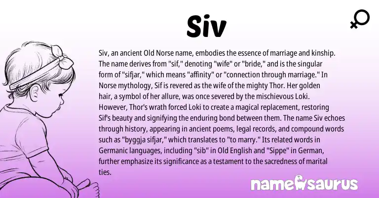 Infographic about Siv name meaning, Siv is a name from Old Norse, German, Germanic, Old English, Norse origin(s).