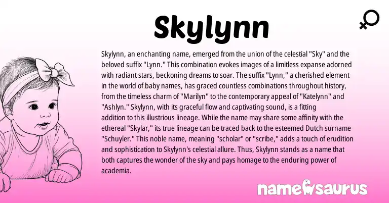 Infographic about Skylynn name meaning, Skylynn is a name from Dutch origin(s).