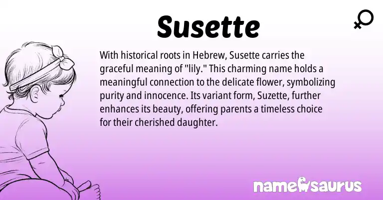 Infographic about Susette name meaning, Susette is a name from Hebrew origin(s).