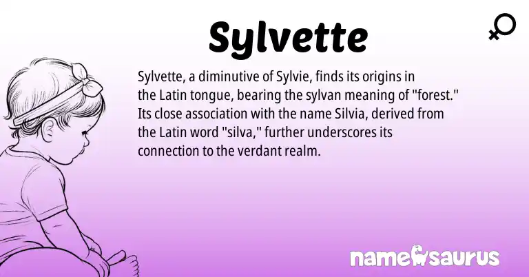 Infographic about Sylvette name meaning, Sylvette is a name from Latin origin(s).