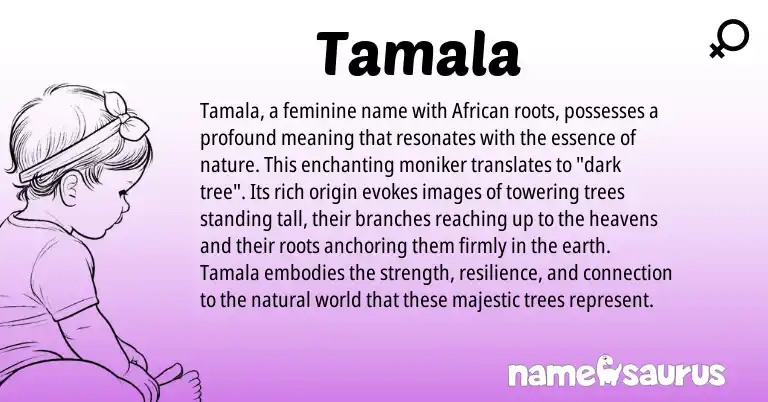 Infographic about Tamala name meaning, Tamala is a name from African origin(s).
