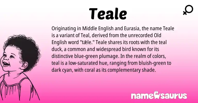 Infographic about Teale name meaning, Teale is a name from Middle English, Old English, Eurasia origin(s).