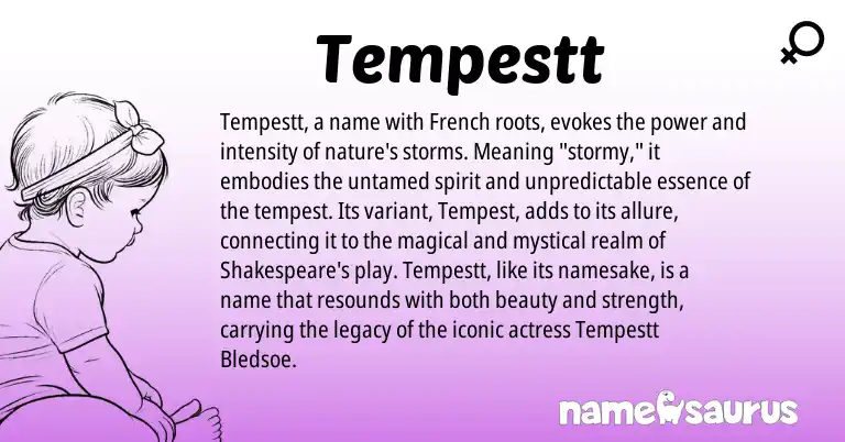 Infographic about Tempestt name meaning, Tempestt is a name from French origin(s).