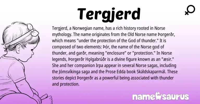 Infographic about Tergjerd name meaning, Tergjerd is a name from Norwegian, Old Norse, Norse origin(s).