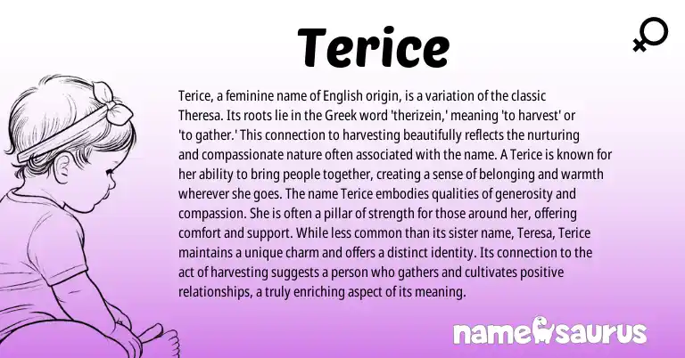 Infographic about Terice name meaning, Terice is a name from Greek, English origin(s).