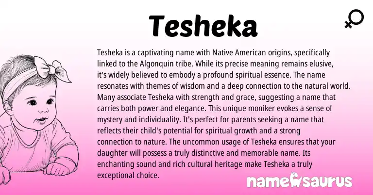 Infographic about Tesheka name meaning, Tesheka is a name from American origin(s).