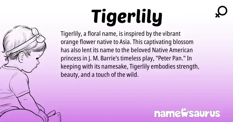 Infographic about Tigerlily name meaning, Tigerlily is a name from Native American origin(s).