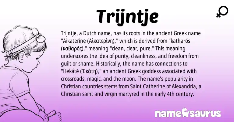 Infographic about Trijntje name meaning, Trijntje is a name from Dutch, Greek origin(s).