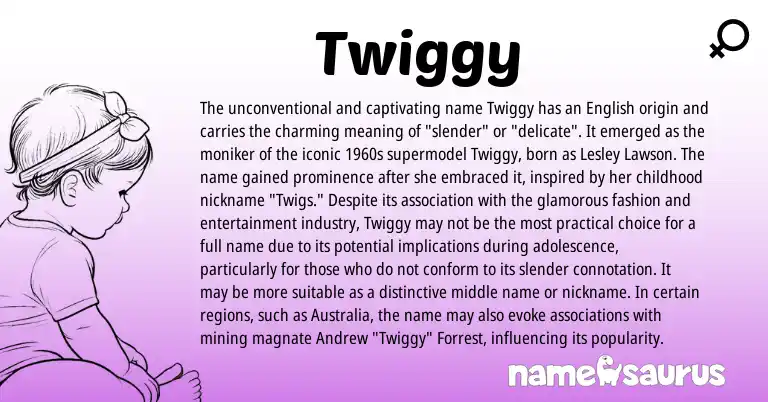Infographic about Twiggy name meaning, Twiggy is a name from English origin(s).